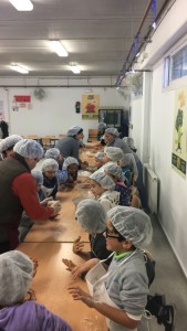 whatsapp-image-2016-12-12-at-11-26-33