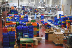 Mantecados y Polvorones Estepa - empleo